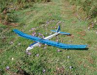 mon planeur entour� de jolies colchiques