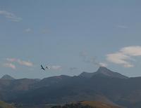 mon planeur, les pyr�n�es en fond